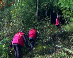 绵竹：防患于未“燃” 筑起屏障护青山