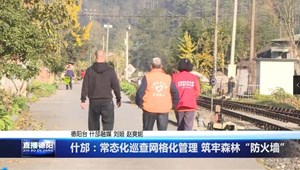什邡：常态化巡查网格化管理 筑牢森林“防火墙”
