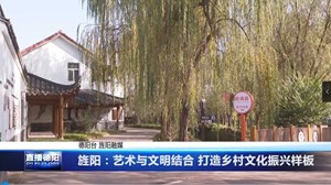 旌阳：艺术与文明结合 打造乡村文化振兴样板
