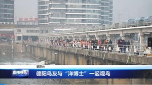 德阳鸟友与“洋博士”一起观鸟
