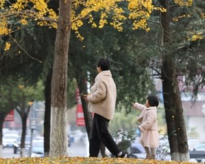 “德阳之窗”新区段开放！有活水乐园、儿童乐园，还有……