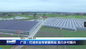 广汉：打造农业专家服务站 助力乡村振兴