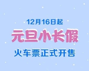 元旦小长假火车票16日起开售！购票攻略请收好→