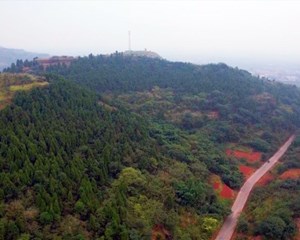 筑牢防火“安全墙” 防患未“燃”保平安