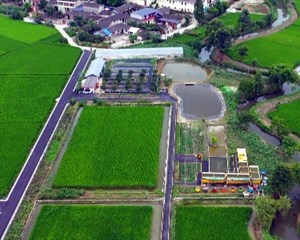 特色产业助农增收致富 冬储工作保障春耕生产