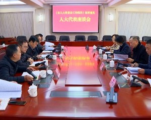 《市人大常委会工作报告》征求人大代表意见座谈会召开