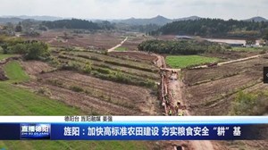 旌阳：加快高标准农田建设 夯实粮食安全“耕”基