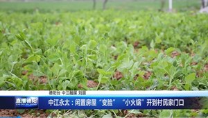 中江永太：闲置房屋“变脸” “小火锅”开到村民家门口