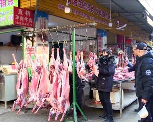 旌城羊肉迎来销售旺季