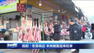 旌阳：冬至将近 羊肉销售迎来旺季