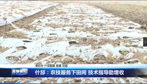 什邡：农技服务下田间 技术指导助增收