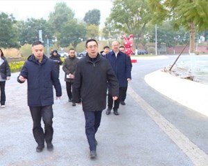 统筹抓好各项重点工作 努力让德阳天更蓝地更绿水更清