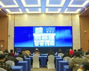 德阳举办三星堆数字文创设计大赛现场评审会
