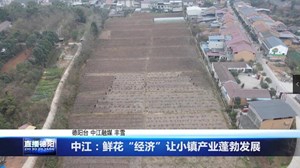 鲜花“经济”让小镇产业蓬勃发展