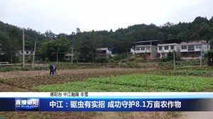 中江：驱虫有实招 成功守护8.1万亩农作物