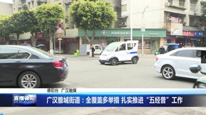广汉雒城街道：全覆盖多举措 扎实推进“五经普”工作