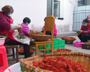 绵竹广济镇: 小豆腐变身“红”产业