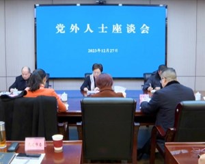 全市党外人士座谈会召开