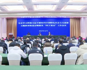 确保主题教育健康有序推进 取得扎扎实实的成效