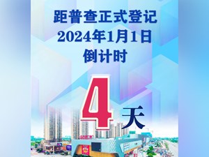 【五经普】第五次全国经济普查，倒计时4天！