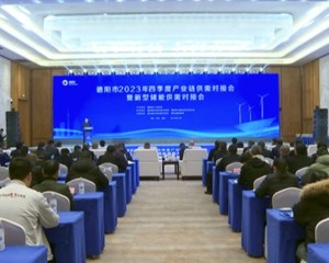 政府“牵线搭桥” 精准对接产业资源