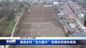 推进乡村“五大振兴” 拓展农民增收渠道