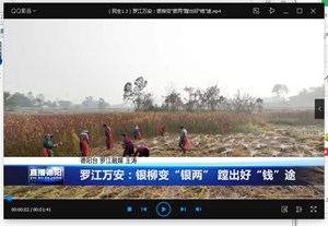 罗江万安：银柳变“银两” 蹚出好“钱”途