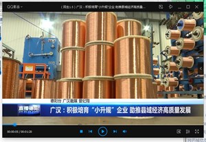 广汉：积极培育“小升规”企业 助推县域经济高质量发展