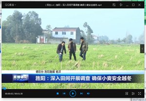 旌阳：深入田间开展调查 确保小麦安全越冬