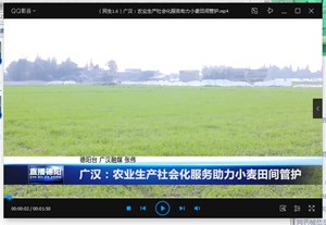 广汉：农业生产社会化服务助力小麦田间管护