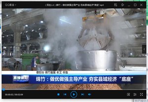 绵竹：做优做强主导产业 夯实县域经济“底座”