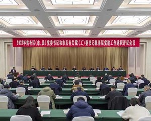 全面提高党的建设质量和水平 为谱写中国式现代化德阳篇章提供坚强保证