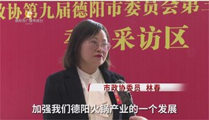 德阳两会正在进行中-代表委员心声