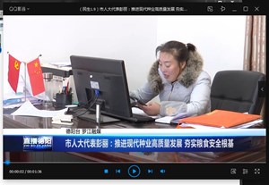 市人大代表彭丽：推进现代种业高质量发展 夯实粮食安全根基