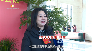德阳两会正在进行中-代表心声