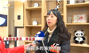 德阳两会正在进行中-委员心声