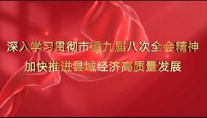 深入学习贯彻市委九届八次全会精神