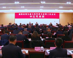 市九届人大三次会议各代表团举行分团会议