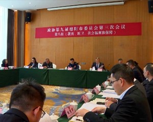 市政协九届三次会议继续进行小组协商讨论