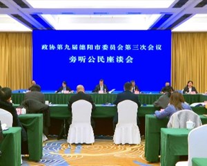 市政协九届三次会议举行旁听公民座谈会