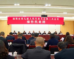 大力营造法治化营商环境 不断推动经济社会高质量发展