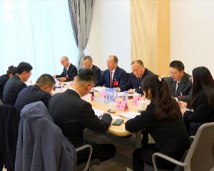 市九届人大经济委员会召开专题审查会议