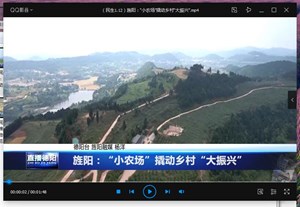 旌阳：“小农场”撬动乡村“大振兴”