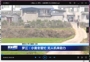 罗江：小麦冬管忙 无人机来助力
