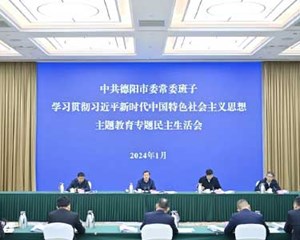 深查细摆找差距 学思践悟铸忠诚 把主题教育成效转化为推动工作的强大动力