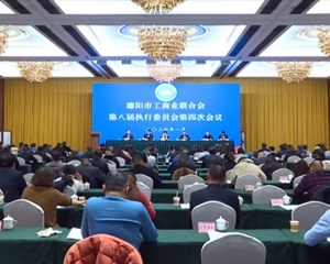 市工商联八届四次执委会召开