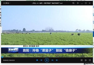 旌阳：拎稳“菜篮子” 鼓起“钱袋子”
