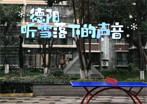 德阳，听雪落下的声音