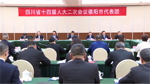 1月22日下午，省十四届人大二次会议德阳代表团举行第二次全体会议