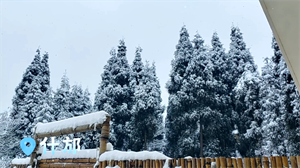 尔滨 德阳下雪了！不信请看 →
